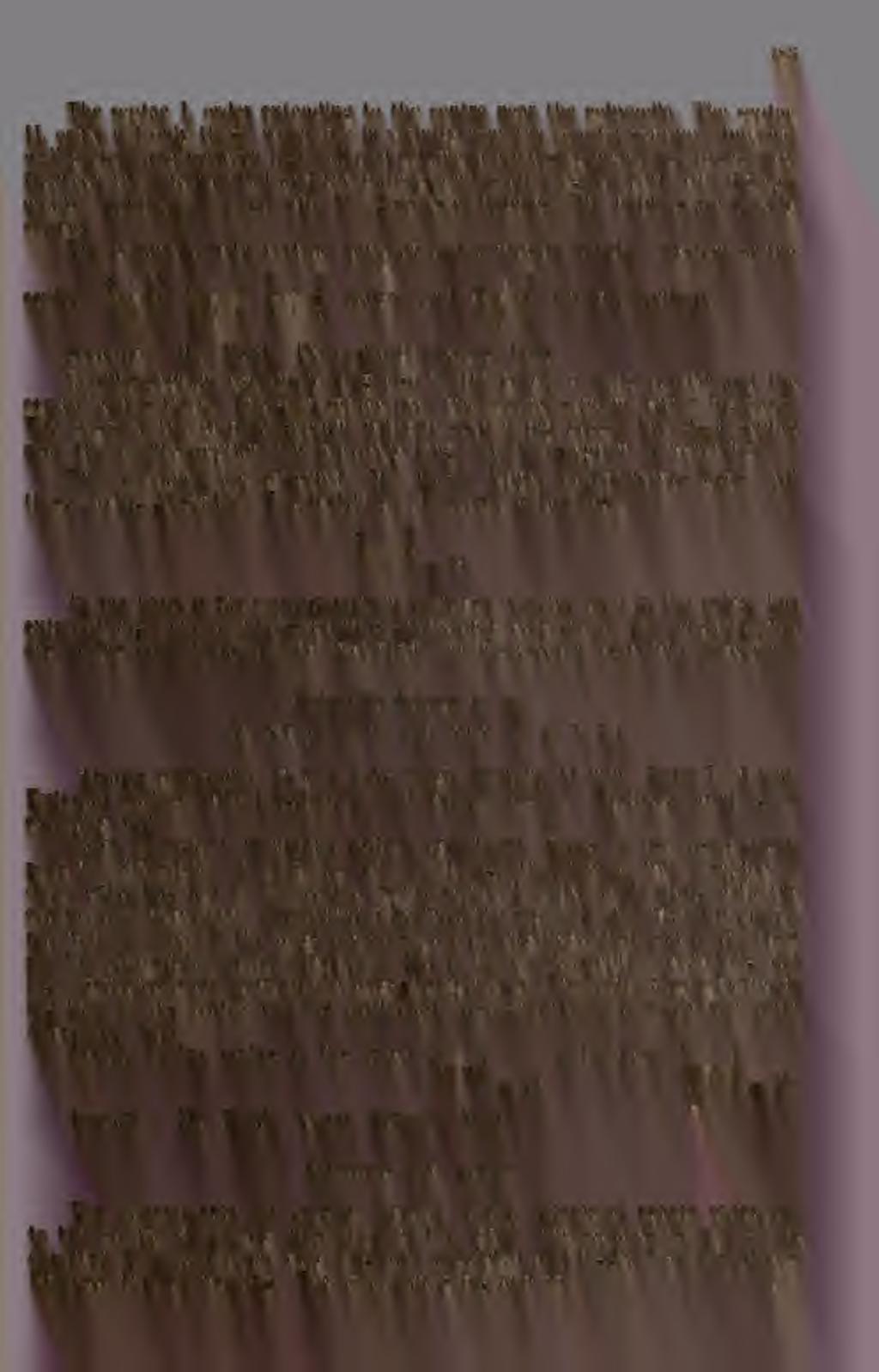 Bubble-zone large, with 18 2 series of bubbles. The bubbles are innerly convex. The columella with vertical lamellae and a médián lamella.