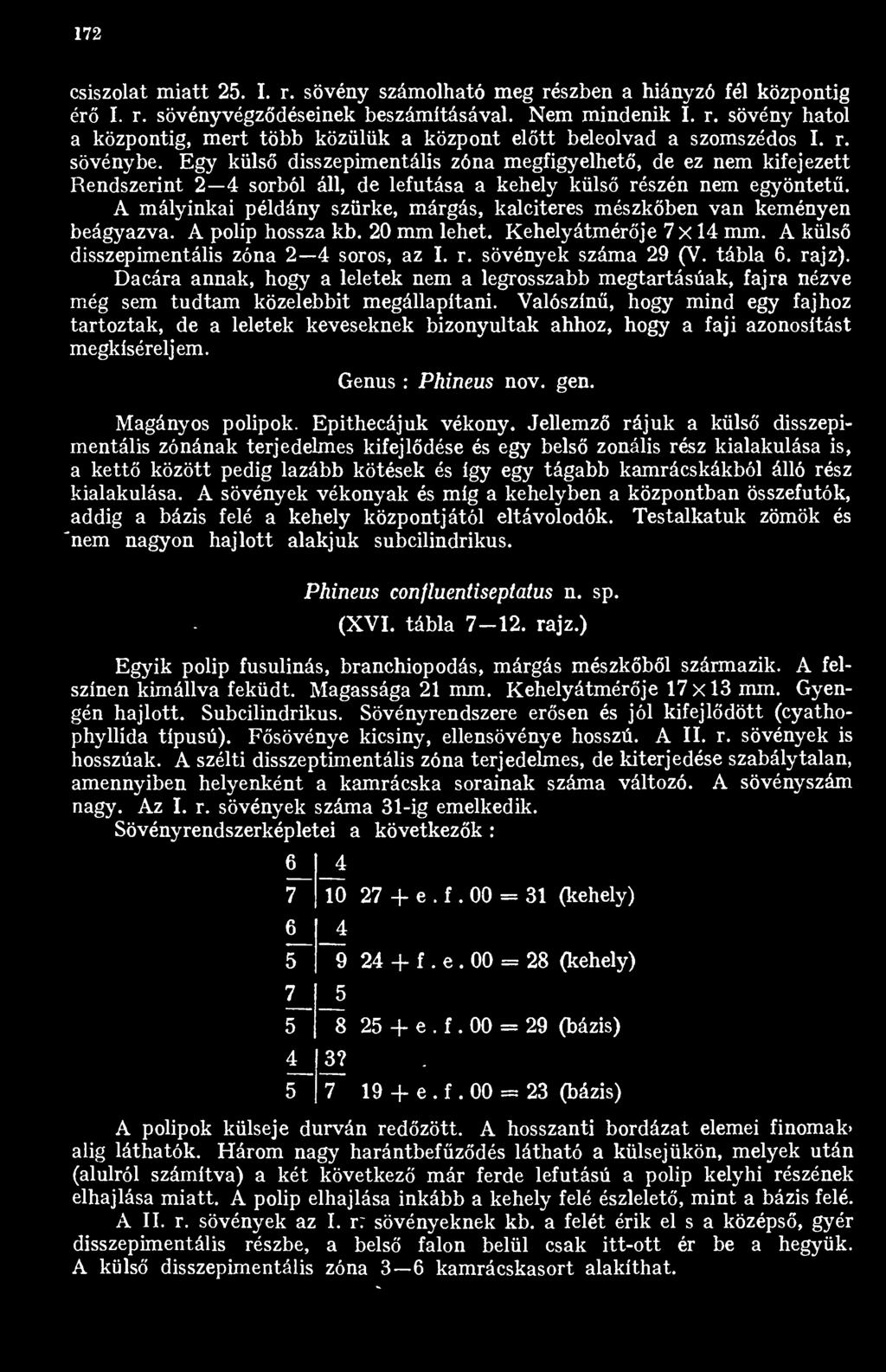 I 7 172 csiszolat miatt 25. I. r. sövény számolható meg részben a hiányzó fél központig ér I. r. sövényvégzdéseinek beszámításával. Nem mindenik I. r. sövény hatol a központig, mert több közülük a központ eltt beleolvad a szomszédos I.