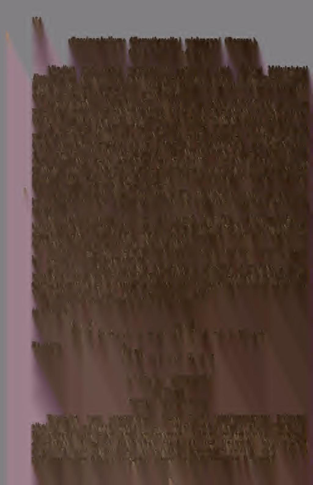 174 *Carcinophyllum«(Carruthersella) (XVI. tábla wichmanni (Rothpl). 1 4. rajz.) Mindkét lelet ersen márgásodott mészkbl való.