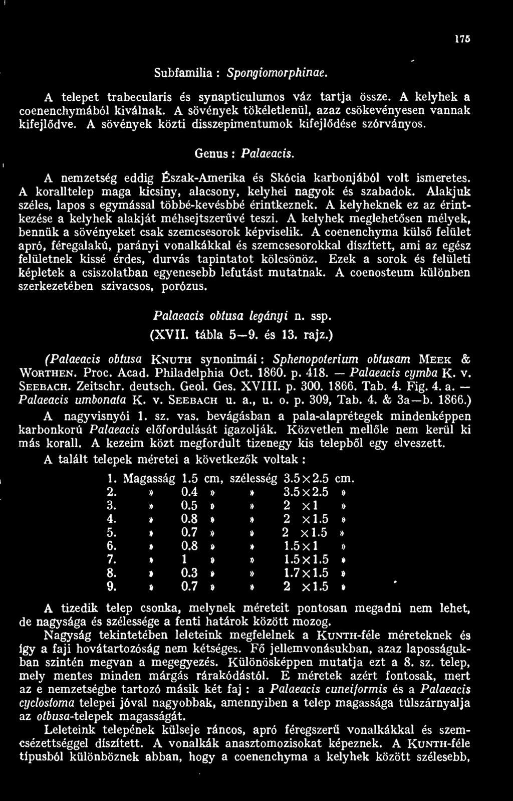 A koralltelep maga kicsiny, alacsony, kelyhei nagyok és szabadok. Alakjuk széles, lapos s egymással többé-kevésbbé érintkeznek. A kelyheknek ez az érintkezése a kelyhek alakját méhsejtszervé teszi.