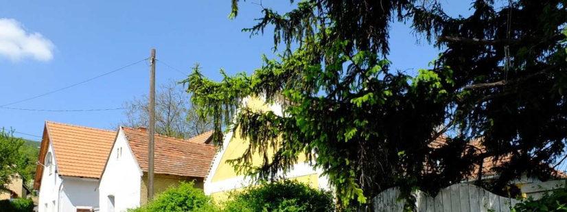 TÖRTÉNETI TELEPÜLÉSRÉSZ A történeti településrészre a fő útra rendeződött belterületi, hosszú telkes soros beépítés a jellemző.