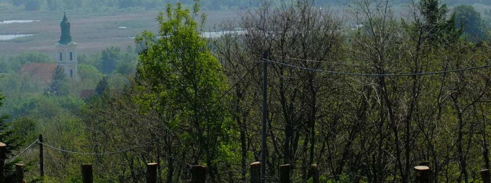 A település fekvése és az onnan feltáruló panoráma a Tapolcai-medencére és a Balaton felé is páratlanul gyönyörű!
