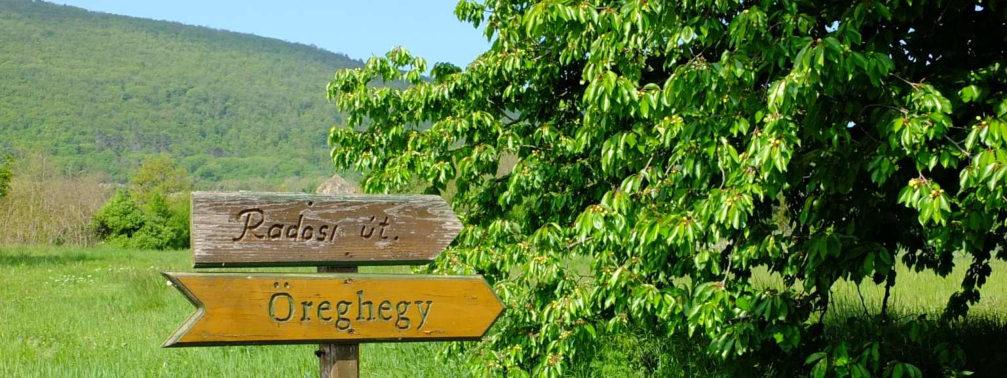 A tájképvédelmi jelentőségű területeken reklámhordozók