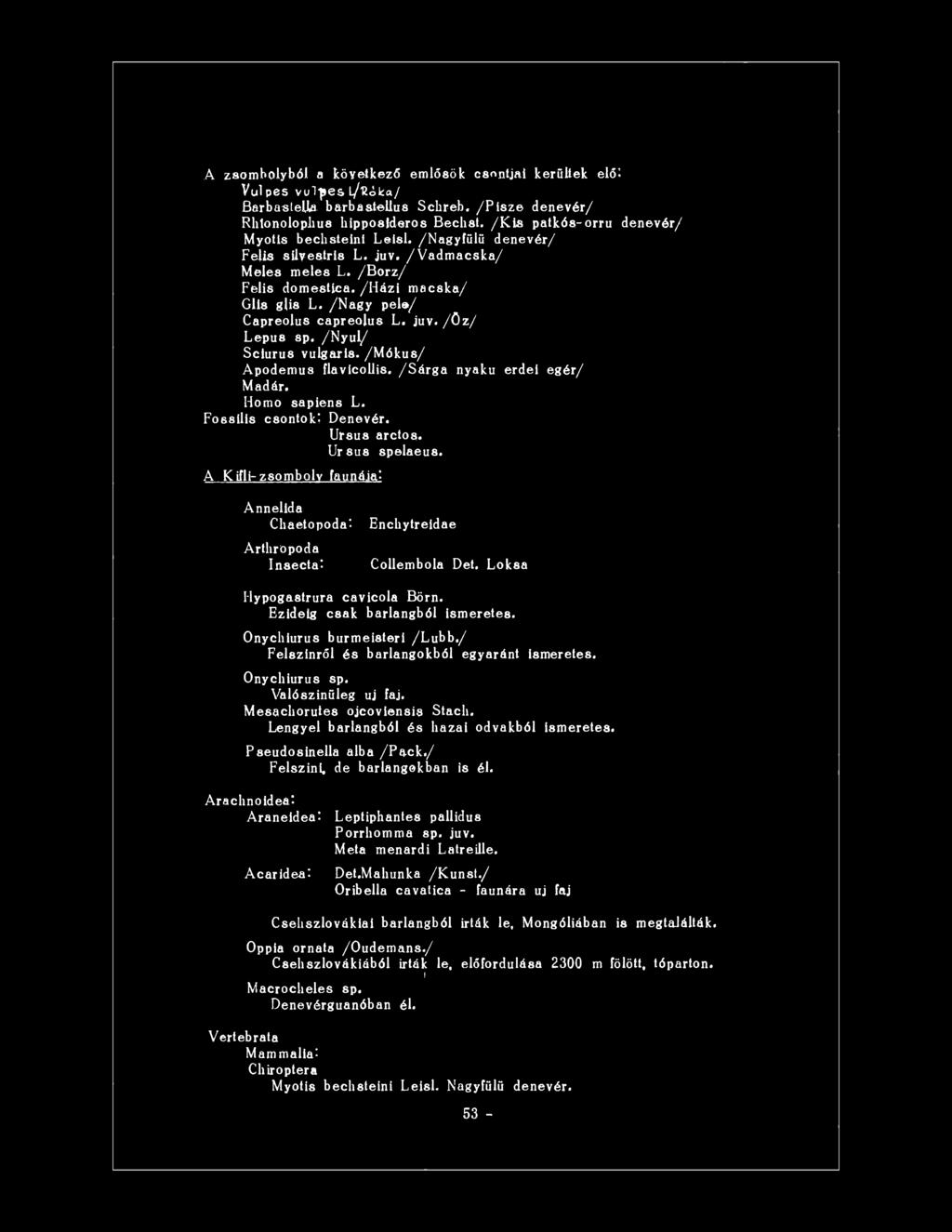 /Nagy pele/ Capreolus capreolus L. juv. /öz/ Lepus sp. /Nyúl/ Sciurus vulgáris. /Mókus/ Apodemus flavicollis. /Sárga nyakú erdei egér/ Madár. Homo sapiens L. Fossilis csontoki Denevér. Ursus arctos.