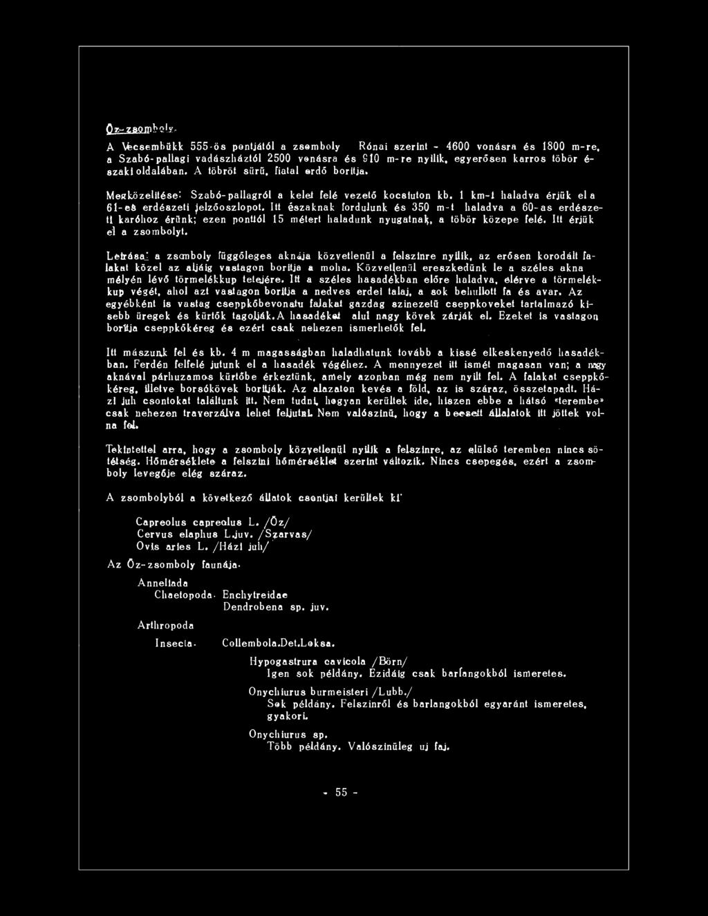 Itt északnak fordulunk és 350 m~t haladva a 60-as erdészeti karóhoz érünk; ezen ponttól 15 métert haladunk nyugatnak, a töbör közepe felé. Itt érjük él a zsombolyt.