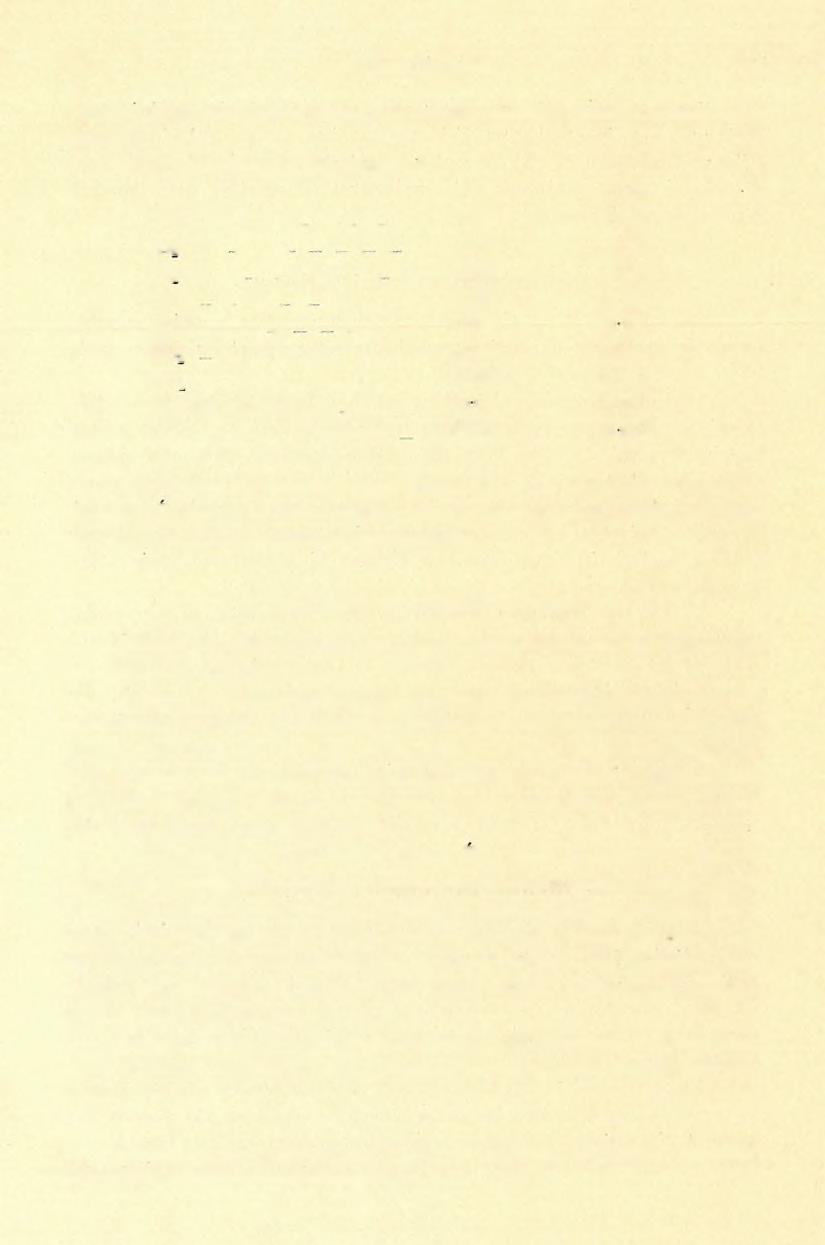 (3) FÖLVÉTELI JELENTÉS. 85 sorozat, melynek alsóbb része itt is inkább mészkő, felsőbb része pedig dolomit. Vegyi összetétele a következő: 1 I. II. SiO,, _... 0-48 o/0 0-65 % A!
