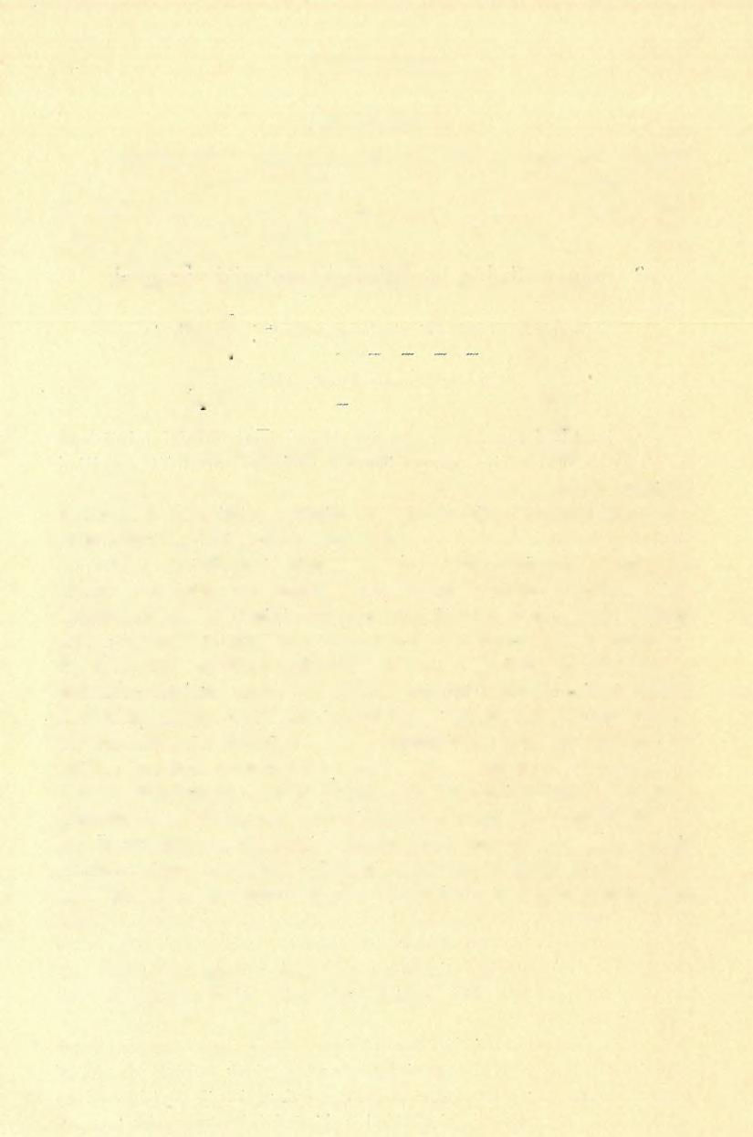 (7 ) FÖLVÉTELI JELENTÉS. 89 9. H évforrások. Ki skálán községe határában, a Sztrigy árterén hévforrások bugyognak ki. A mostani források közelében egy 6 m.