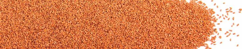 Vetőmag technológiai részlegünk kutatásainak eredményeként az alábbi vetőmagformákat állítjuk elő: Precíziós vetőmag (Precision seed) egyöntetű vetőmag osztályozottság gyors csírázás magas csírázási