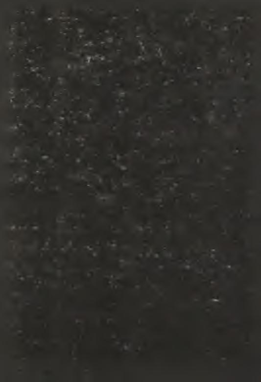 telepítette Böckh Hugó Lázár Vazullal együtt az 1. sz. fúrást, Medien gázforrása közelébe, melyet 1913 októberében kezdtek mélyíteni. 1914.