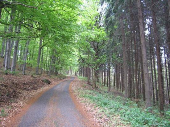 A törvény hatálya Erdészeti létesítmény Részben erdőben található vagy ahhoz csatlakozó erdészeti magánút erdei vasút közjóléti létesítmény egyéb