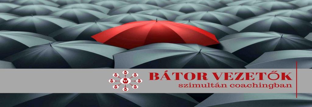 2018. május 10. Bátor Vezetők szimultán coachingban Gyakran használunk jelzőket a szervezeti vezetőkre: Eredményes, hatékony, csapatépítő, újító, elkötelezett, vizionáló.