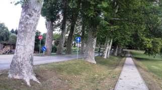 Eltérő karakterű településrészek 54 4 ZÖLDFELÜLETI KARAKTER HŐSÖK TERE, HORGÁSZTÓ, KASTÉLYPARK, TEMETŐK A belterületre jellemző a zöldfelületes jelentős mennyisége.