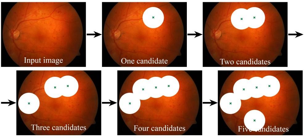 that the algorithm should locate the next candidate within the remaining image region and so on. For visual explanation of this alternative candidate extraction see Figure 14.