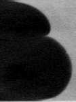 (a) (b) (c) ¾½º Ö º Ã ÖÐ Ø Ô Ð ÙÐ Ñ ÒØ Þ ØÖ Ð t ½ ¼ ¹Ñ Ð ÖÓÒØ Ò Ø Ø ¹ Ú Ø Ò [K 2 S 4 O 6 ] 0 ÑÅ ÓÒ ÒØÖ Ø Òº Ö ÒÝ Þ Ð ½ Ñ µ ¾ Ñ µ Ñ µ ÚÓÐØº Ø Ø Ö Þ Ø ÖÑ Ø Ú Ð Ó Ö Ø Ò Ó Ø Ð Ð º Ú ÐØÓÞ Ø Ú ØØ Ñ ÐÝ Ø
