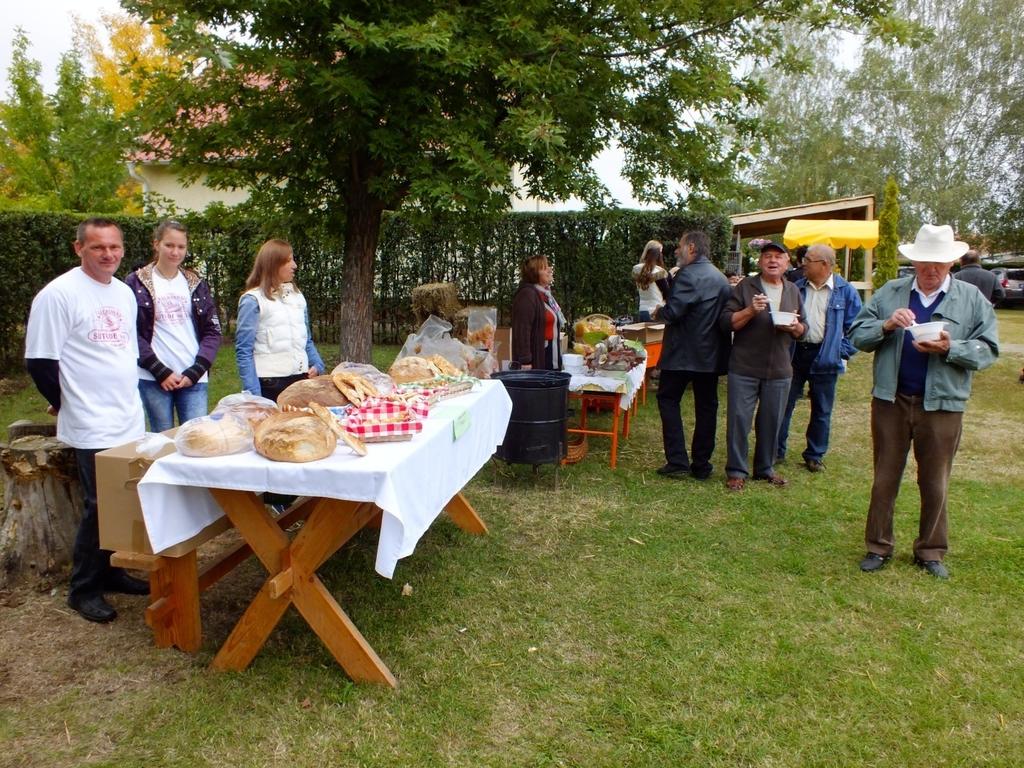 # Kutatás, Fejlesztés, Innováció Szabolcs _ Szatmár _Bereg Megyében, Termékeink, F Ö L D É S Z F Ó R U M O K, V I D É K I G A Z D A T A L Á L K O Z Ó K, K U T A T Á S, F E J L E S Z T É S, I N N O V