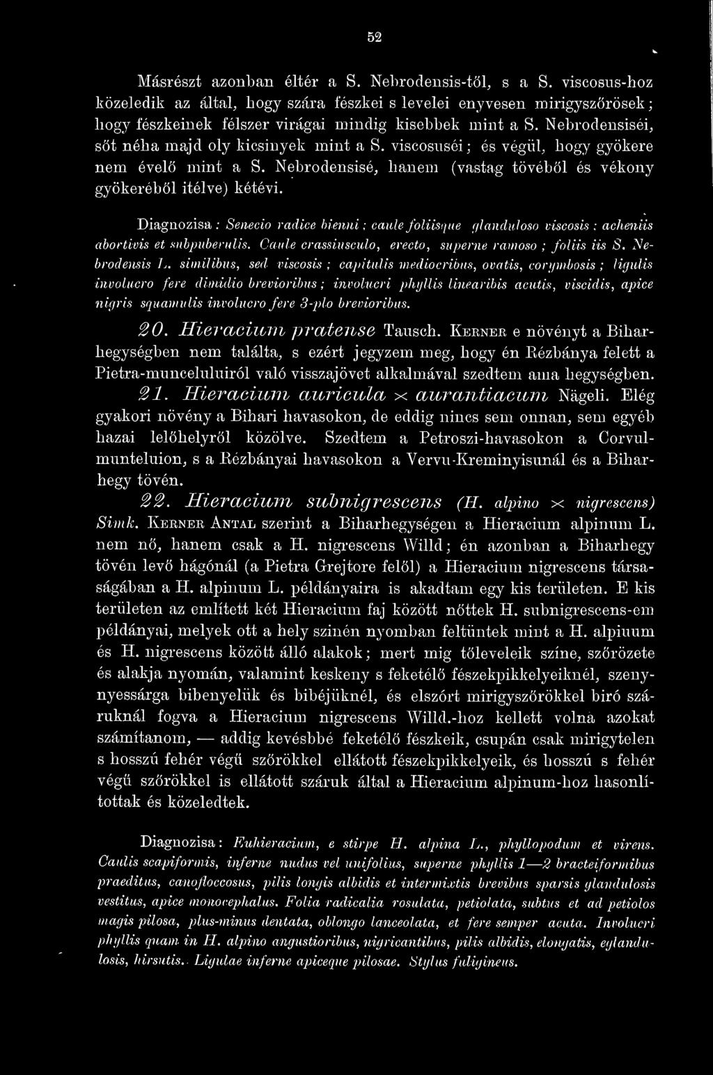 Diagnózisa ; Senecio radice hienni : caale foliisqtie glanduloso víscosis : acheniis abortivis et snbpuberulis. Caiile crassiuscalo, erecto, superne ramoso ; foliis iis S. Nebrodensis L.