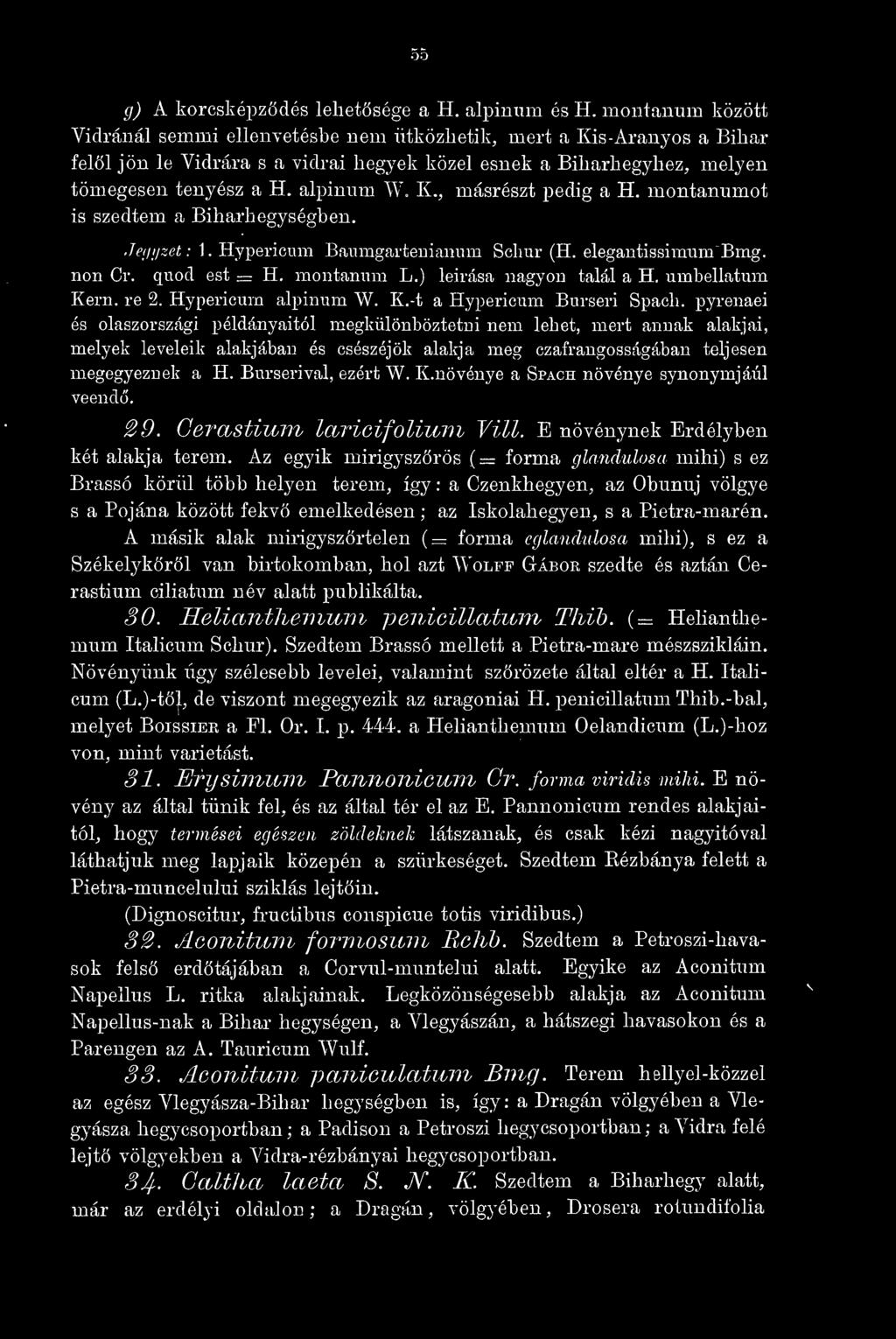 montanumot is szedtem a Biharhegységhen. Jem/zet : 1. Hypericum Baumgarteniaiium Schur (H. elegantissimiim Bmg. non Cr. quod est = H. montanum L.) leirása nagyon talál a H. umbellatum Kern, re 2.