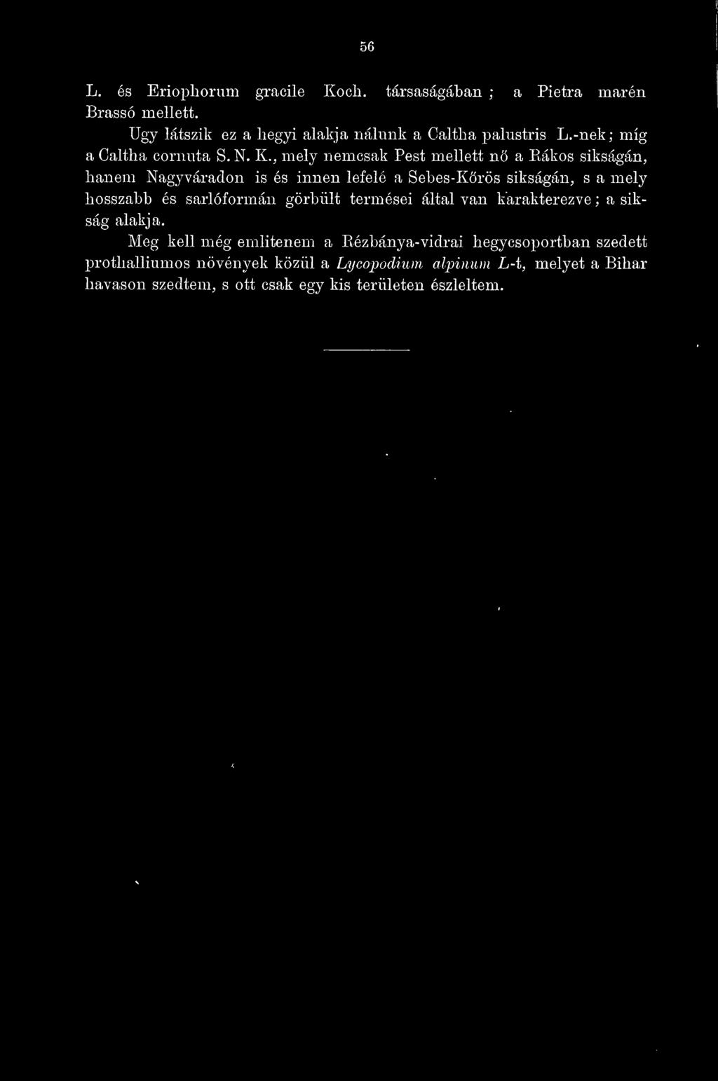 , mely nemcsak Pest mellett nö a Eákos síkságán, hanem Nagyváradon is és innen lefelé a Sebes-Körös síkságán, s a mely hosszabb és