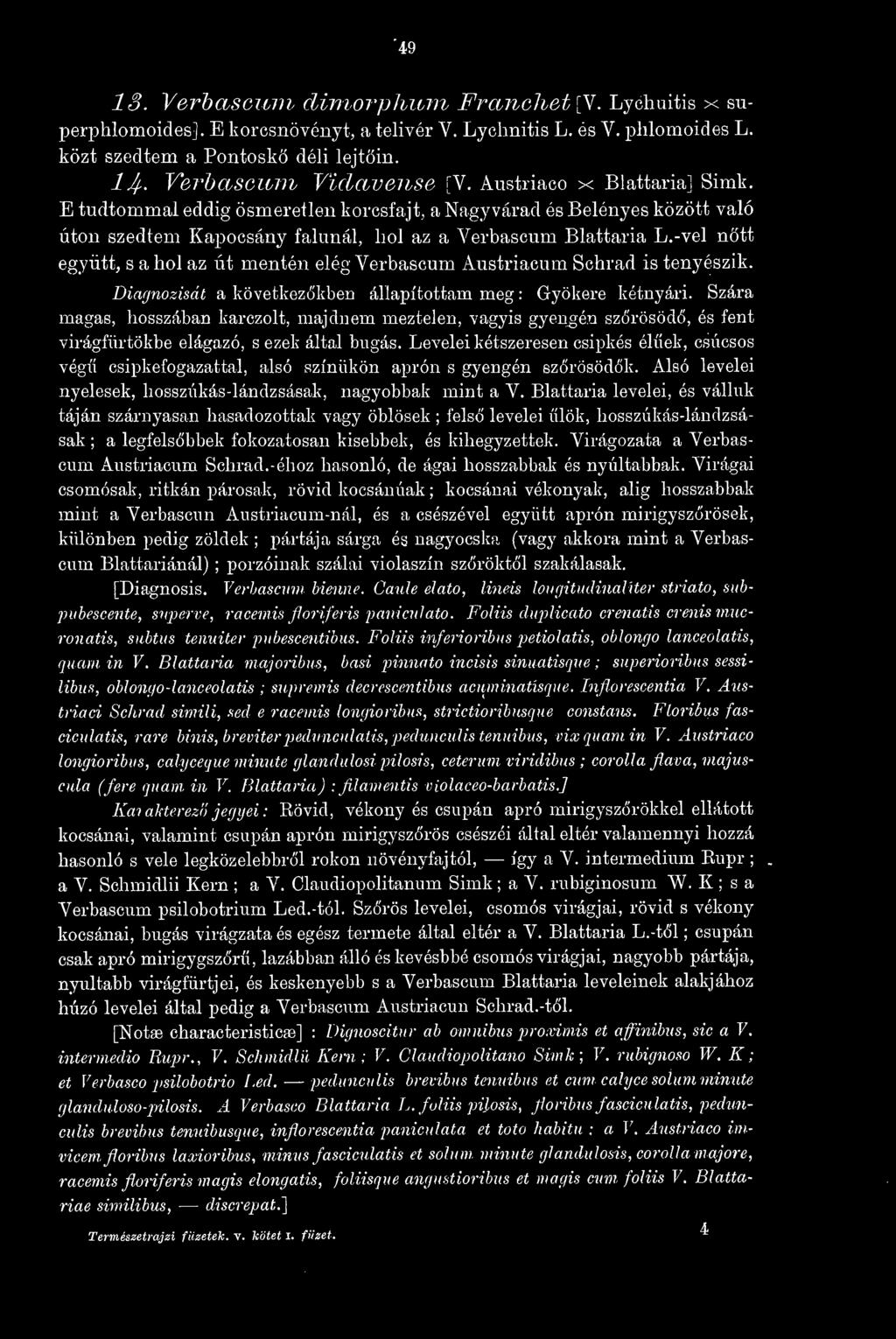 -vel ntt együtt, s a hol az út mentén elég Verbascum Austriacum Schrad is tenyészik. magas, Diagnózisát a következkben állapítottam meg : Gyökere kétnyári.