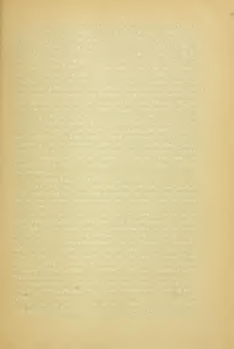 4^;=. 51 18. GardltltS Bihariensis (C. acanthoidi x candicnns) Simk. Felfedeztem Belényes vidékén a Pontoskö napos köves hegylejtöin, hol a Carduus candicansw. K.