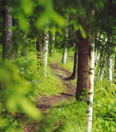 A Metsä Tissue társaság a Metsä Group csoport része, és egyike a finom papírból készült termékek kiváló beszállítóinak a háztartások és szakemberek részére