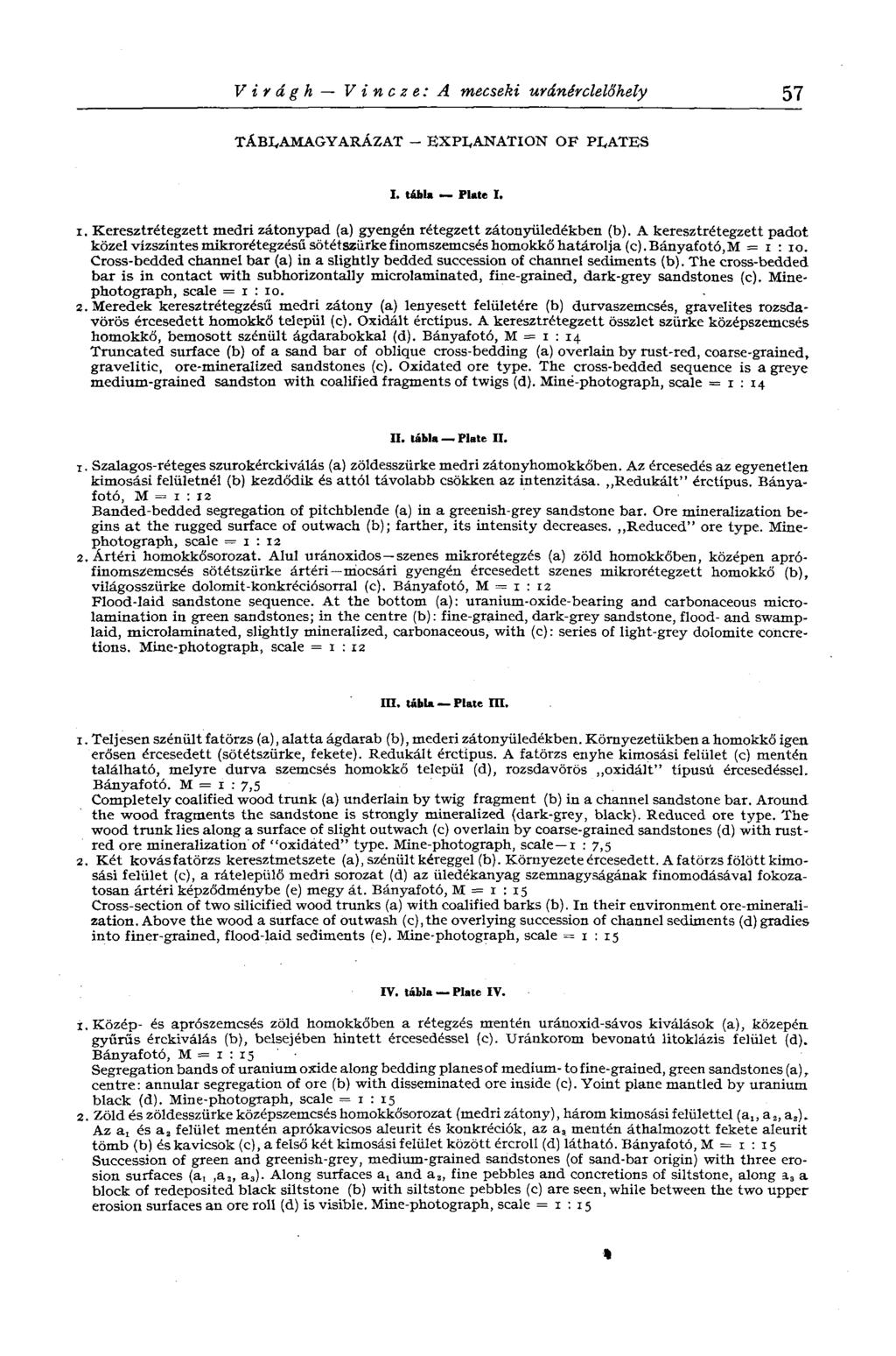 Virágh V i n с z e: A mecseki uránérclelőhely 57 TÁBLAMAGYARÁZAT - EXPLANATION OF PLATES I. tábla Plate I. 1. Keresztrétegzett medri zátonypad (a) gyengén rétegzett zátonyüledékben (b).