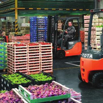 8 TOYOTA MATERIAL HANDLING ALAPJAIBAN ÚJ TECHNOLÓGIA A TOYOTÁTÓL 9 ALAPJAIBAN ÚJ TECHNOLÓGIA A TOYOTÁTÓL RACIONÁLIS IDŐKIHASZNÁLÁS Különösen a romlandó árukra, többek között a gyümölcsökre, a