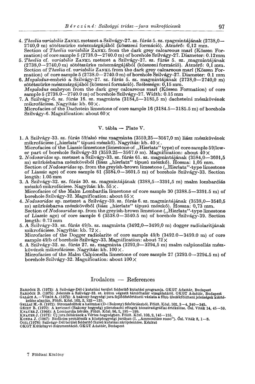 Bércziné: Szilvágyi triász jura mikrofáciesek 97 4. Theelia variabilis ZANXL metszet a Szilvágy-27. sz. fúrás 5. sz. magmintájának (2738,0 2740,0 m) sötétszürke mészmárgájából (kösszeni formáció).