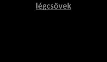 rák ~ hidra ~ keresztespók ~ szöcske ~ ponty ~ kaszáspók ~ hód ~ teknős ~ szalamandra ~ cserebogár egész testfelület tüdőhólyagocskák légcsövek kopoltyúk tüdő 7.