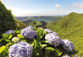 Szállás Ponta Delgadában, a Hotel Sao Miguel Park szállodában vagy hasonlóban. 2.