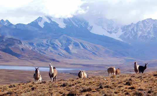 Amerika Argentína, Bolívia, Chile Óriáskörút Dél-Amerikában I. Chile, Bolívia a sósivataggal és Argentína az Andokon átkelve 2019. október 12 26.