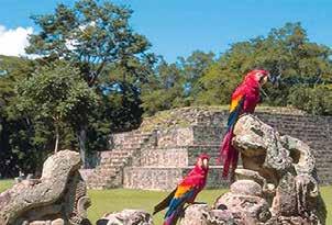 Amerika Guatemala, Honduras, Mexikó tesz ki. (A program ára: 28.500 Ft.) Vacsora. Szállás Floresben. 11. nap: Flores Bonampak (Mexikó) Palenque Reggeli, majd visszautazás Mexikóba.