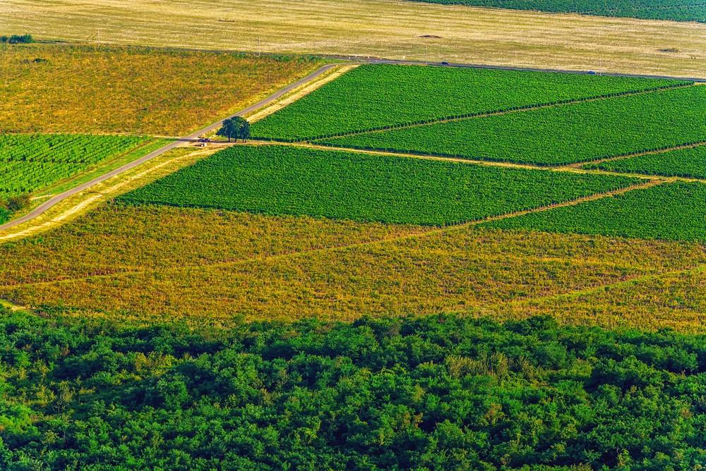 https://www.agroinform.