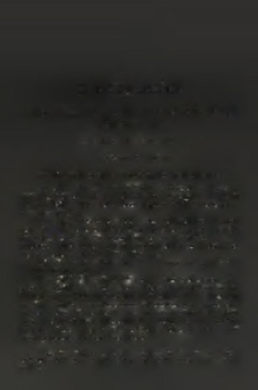 Ezen kapella egy kisebb és félig nyitott kapellával együtt 1420 koronába került, és ezt dr. Semsey A ndob meczenásunk volt szives kifizetni.
