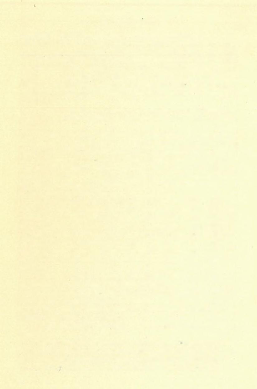 162 K A L E C S IN S Z K Y SAN DO K (9) igen különbözők voltak.