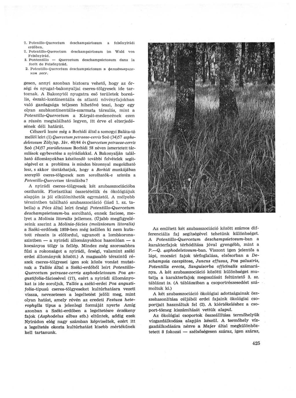 2. Potenillo-Quercetum deschampsietosum a felsőnyírádi erdőben. 2. Potentillo-Quercetum deschampsietosum im Wald von Felsőnyírád. 2. Pontentillo Quercetum deschampsietosum dans la forêt de Felsőnyírád.