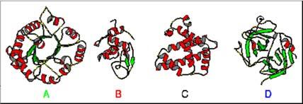 A) triosephosphate isomerase B) hen egg