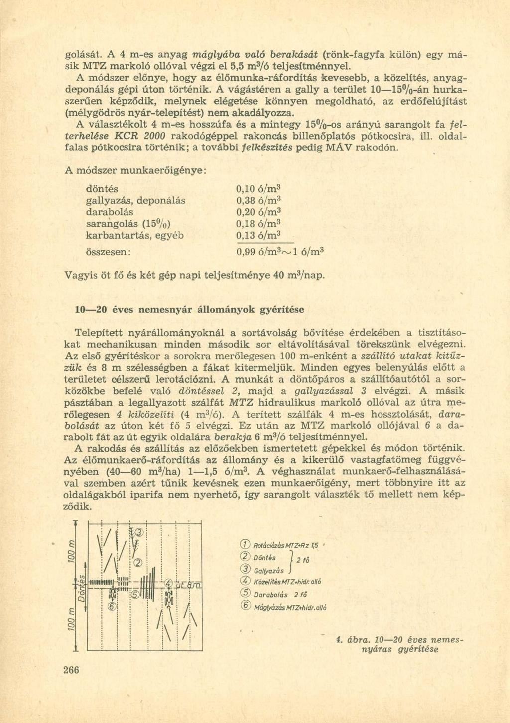 golását. A 4 m-es anyag máglyába váló berakását (rönk-fagyfa külön) egy másik MTZ markoló ollóval végzi el 5,5 m 3 /ó teljesítménnyel.
