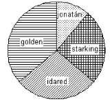 26) Egy teherautóval több zöldségboltba almát szállítottak. Az egyik üzletbe 60 kg jonatánt, 135 kg starkingot, 150 kg idaredet és 195 kg golden almát vittek.