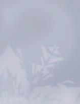 : 109944 10 228,35 12 990,-