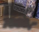 1520 g