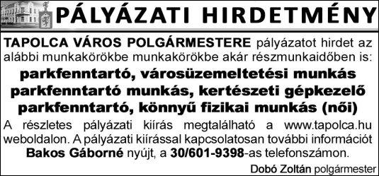 Tűzijáték Tapolcán Házasságkötés A tárlatnyitó hazai és külföldi vendégeit Dobó Zoltán köszöntötte.