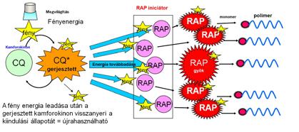 a b ábra: Klasszikus (a) polimerizációs séma és a RAP (b) működési mechanizmusa.