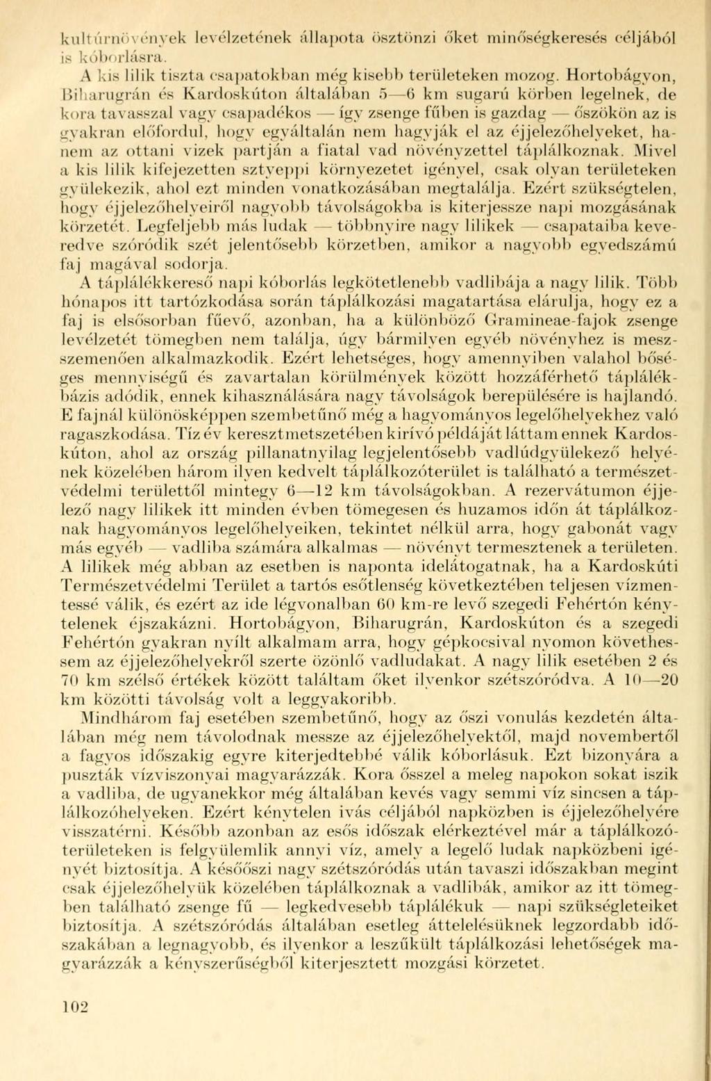 kultúrnövények levélzetének állapota ösztönzi őket minőségkeresés céljából is kóborlásra. A kis lilik tiszta csapatokban még kisebb területeken mozog.