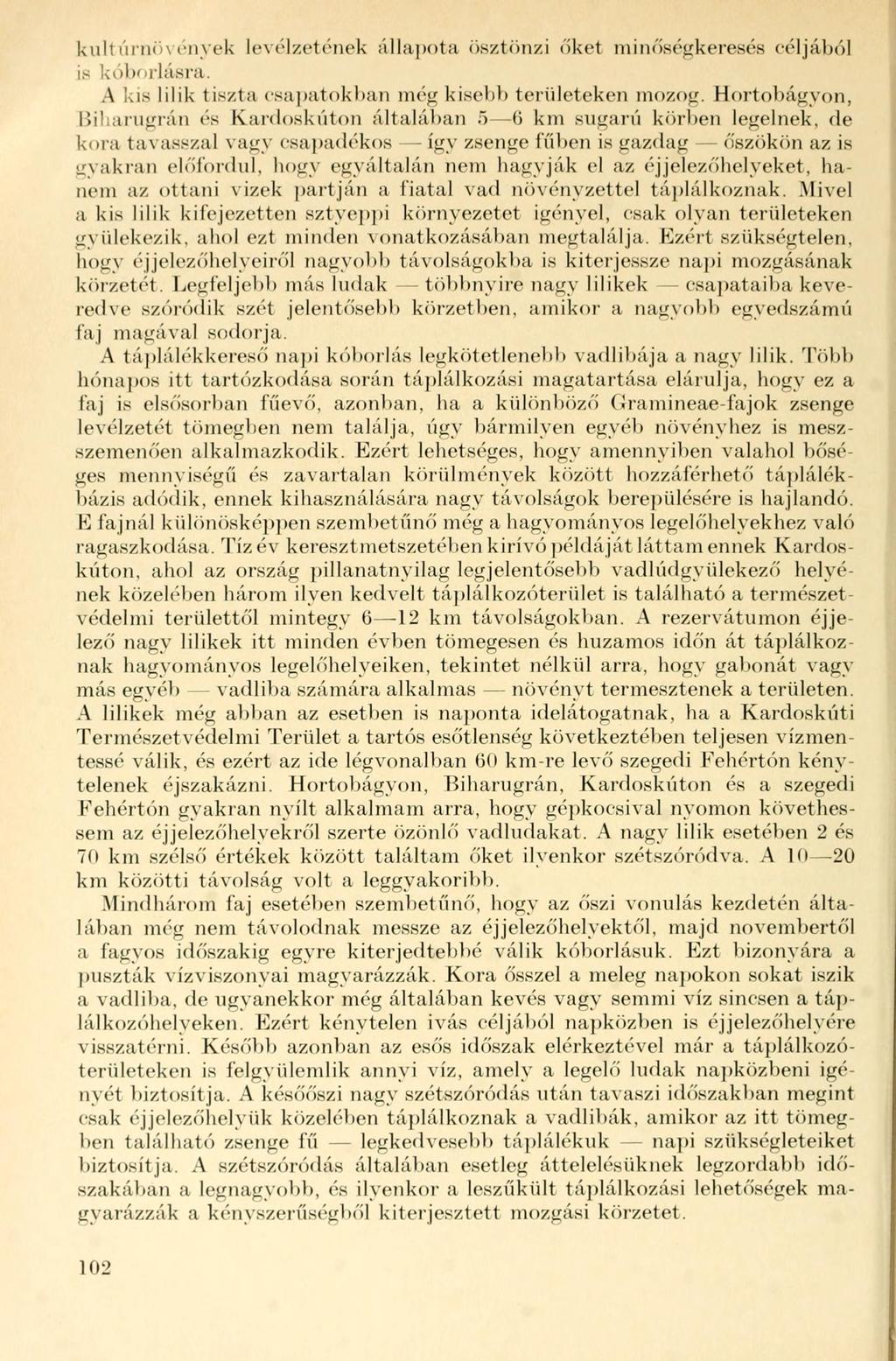 kultúrnövények levélzetének állapota ösztönzi őket minőségkeresés céljából is kóborlásra. A kis lilik tiszta csapatokban még kisebb területeken mozog.