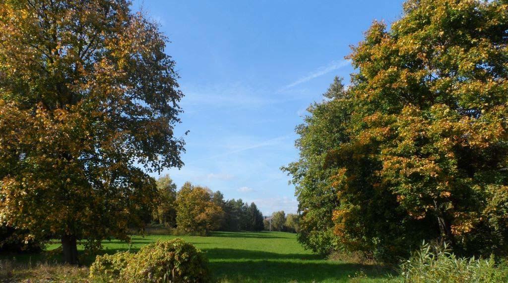 Nagyon szép adottságú, közparknak jelölt terület a 152/1 hrsz-on Bogád kertvárosiasabb, újabb lakóterületein is találunk egy gondozott
