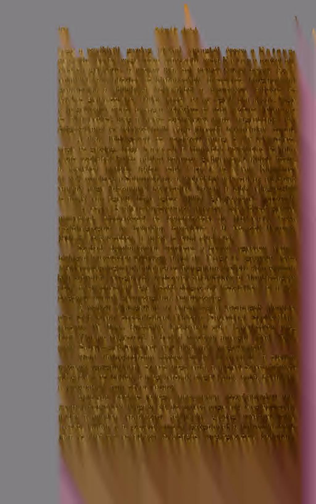 190 Schmidt Antal. hogy a rendkívül gazdag afrikai anyagból éppen a Katonagyjtötte lepkék nagy része hiányzott, noha K a ton a ezeket oly vidéken gyjtötte, a melyet már sok német kutató bejárt.