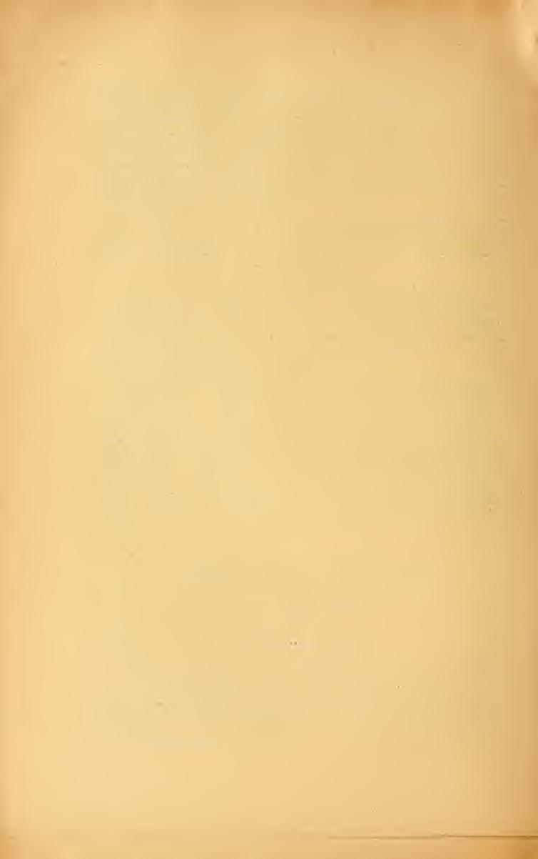 192 Schmidt Autal.