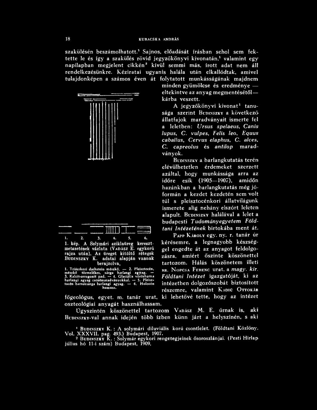 a/ces, C. capreolus és antilop maradványok.