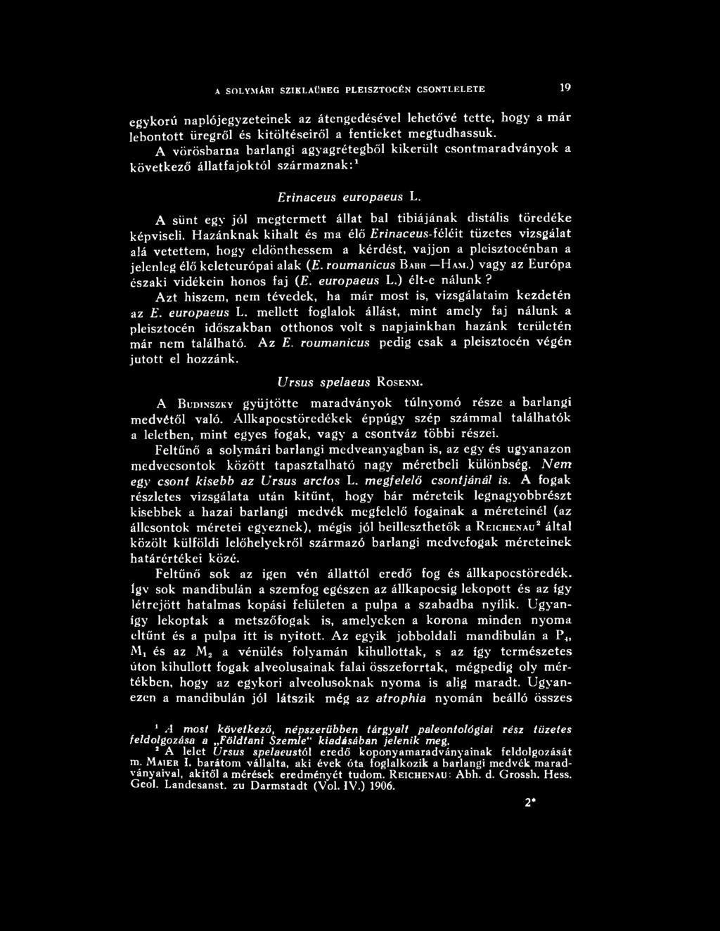 Az E. roumanicus pedig csak a pleisztocén végén jutott el hozzánk. Ursus spelaeus R o s e n m. A B udinszky gyűjtötte m aradványok túlnyom ó része a barlangi m edvétől való.